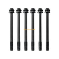 6PCS Cylinder Head Bolts for Polaris Sportsman 570 ACE 570 900 (2014–2019) 7519123