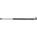 Lift Support for Dodge Ram 1500 (2002–2007) Driver and Passenger Side