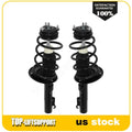 Set of 2 Complete Strut Spring Assemblies for Ford Focus (2008–2011)
