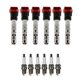 Set of 6 Ignition Coils & Spark Plugs for Audi A4 Quattro (2002–2008)