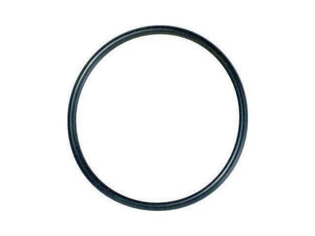 Thermostat O-Ring for Jaguar XJ6 (1988–1997) DZ244MS