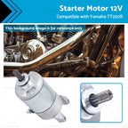 Starter Motor 12V for Yamaha YS250 TT250R YBR250 (1993–2006)