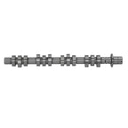 Left Camshaft for Ford F150 F250 F350 F450 5.4L 3V (2005–2008) 5L1Z-6250-AA