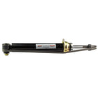 2X Rear Strut Shock Absorbers for BMW 525i 528i 530i (2001–2007)