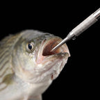 Stainless Steel Fishing Tool for Hook Removal (Universal)