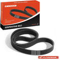 Serpentine Belt for Nissan Maxima, BMW M3, Honda Fit, INFINITI
