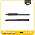 Set of 2 Rear Shock Absorbers for Ford Taurus, Lincoln MKS (2010–2019)