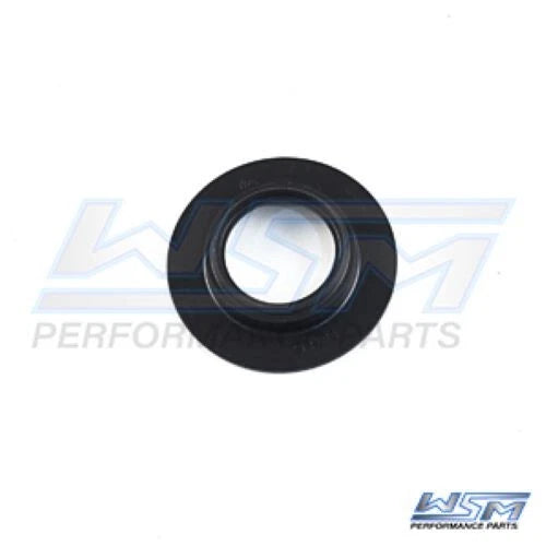WSM Oil Seal for