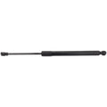 Lift Support for BMW M2 (2016-2021)