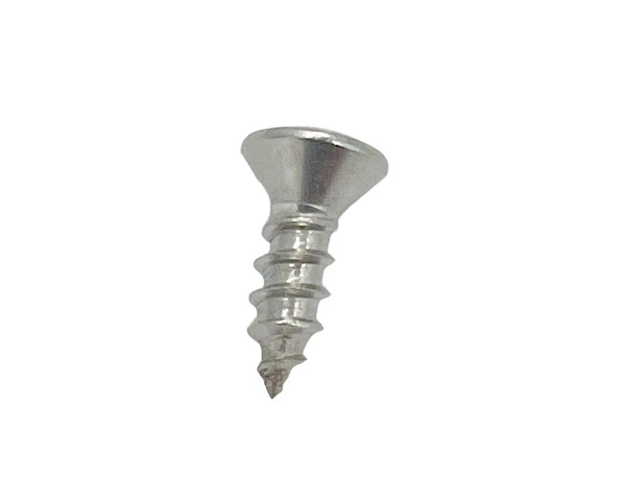 Stainless Sill Plate Screws Phillips Head for GM (Set of 100) (1900–2020)