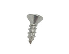 Stainless Sill Plate Screws Phillips Head for GM (Set of 100) (1900–2020)