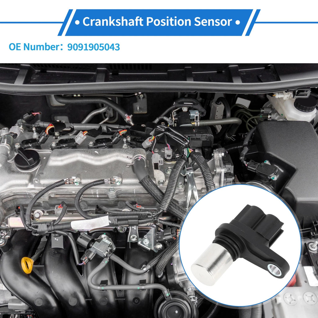Crankshaft Position Sensor for Toyota Yaris 1.0 (1999–2005) No. 9091905043