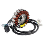 Stator Alternator Regulator Gasket Kit for Explorer Trasher 320 / Argon 330 (US)