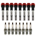 Set of 8 Ignition Coils & Spark Plugs for Volkswagen Touareg, Audi A6 Quattro V8