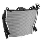 Radiator Cooler for BMW S1000R S1000XR (2015–2020)