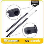 2X Liftgate Lift Supports for Chevrolet Uplander, Buick Terraza, Pontiac Montana