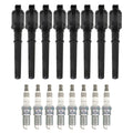 Set of 8 Ignition Coils & Spark Plugs for Ford Mustang V8