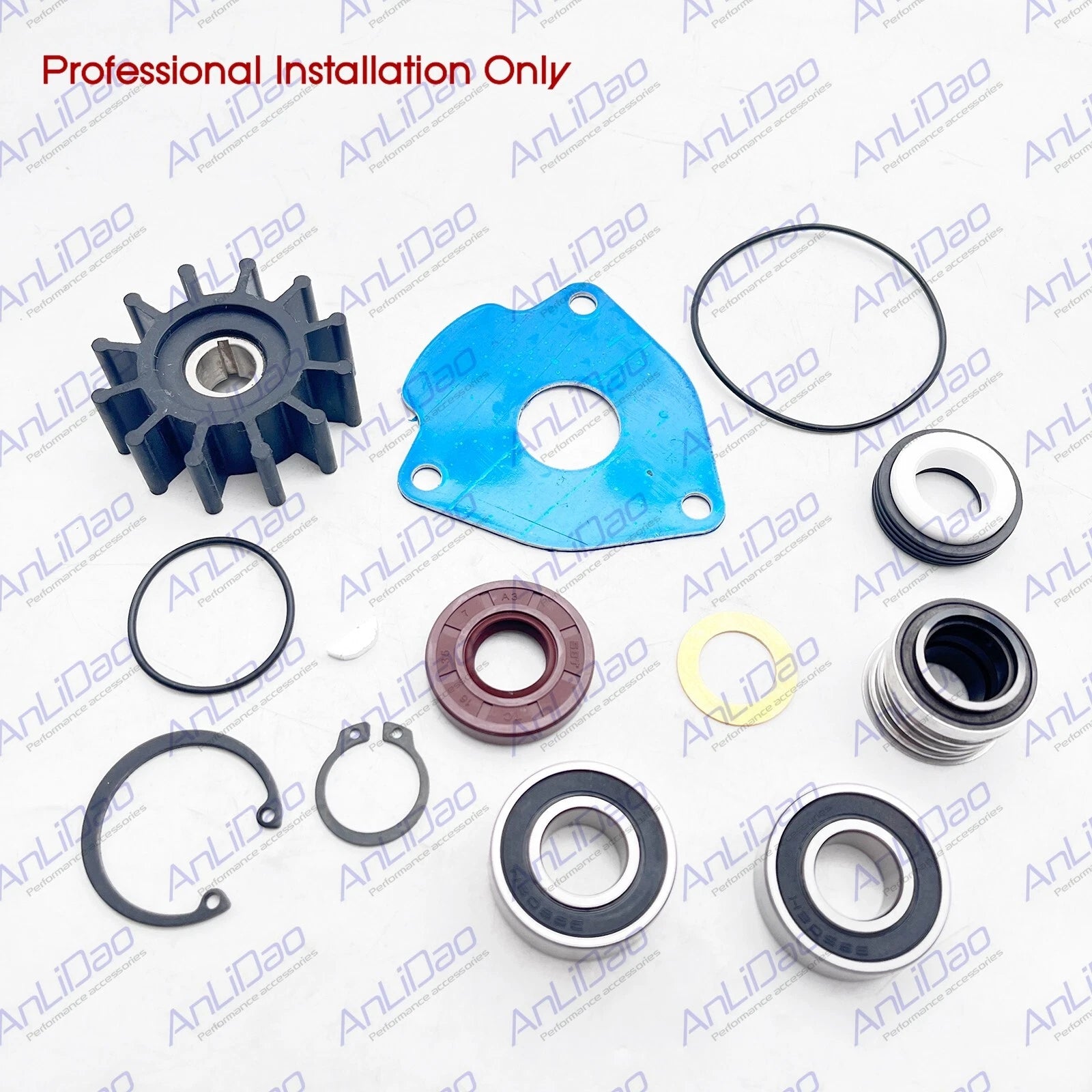 Rebuild Kit for Sherwood G702 Onan Pump Mount (132-0459, 185-6579)