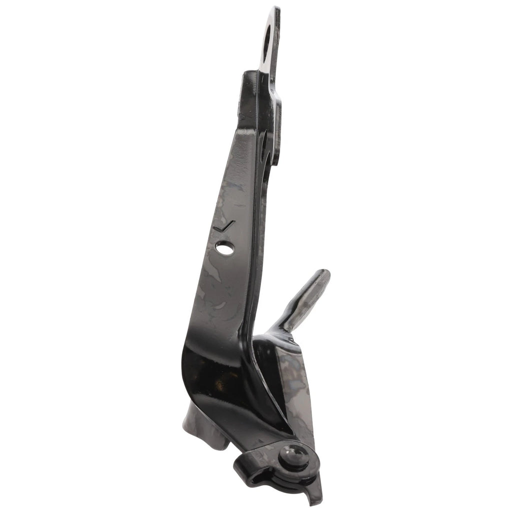 Hood Hinge for Toyota Camry ES300 (2002–2006) Right Side