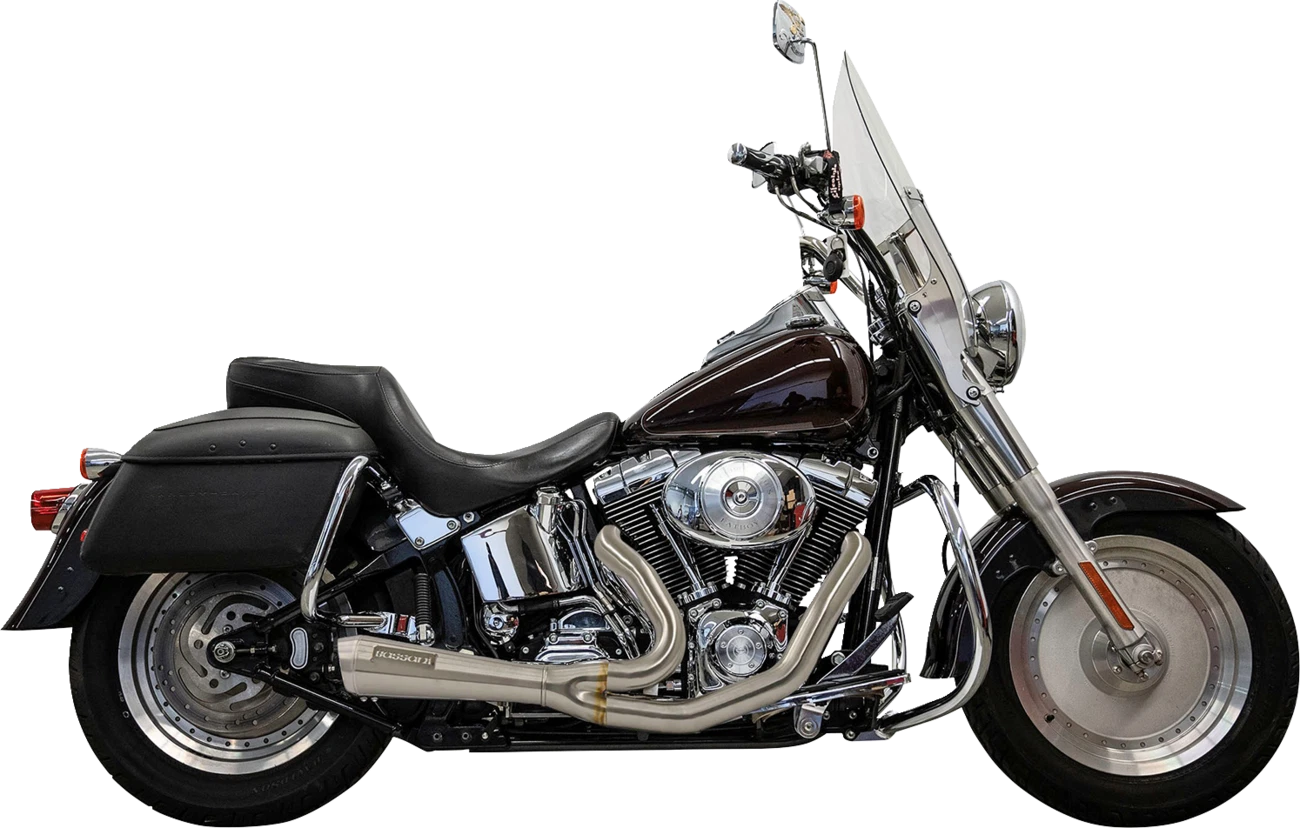 Bassani 2-into-1 Ripper Exhaust System for Twin Cam (Short, Black)