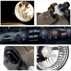 Fog Light for Toyota Echo/Highlander/Prius (2000–2009) Right Side