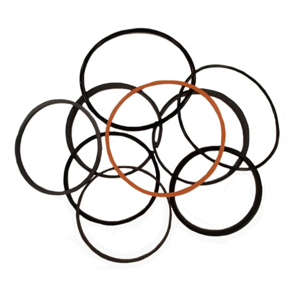 Hydraulic Cylinder Seal Kit for John Deere (Fits 1401-1317)