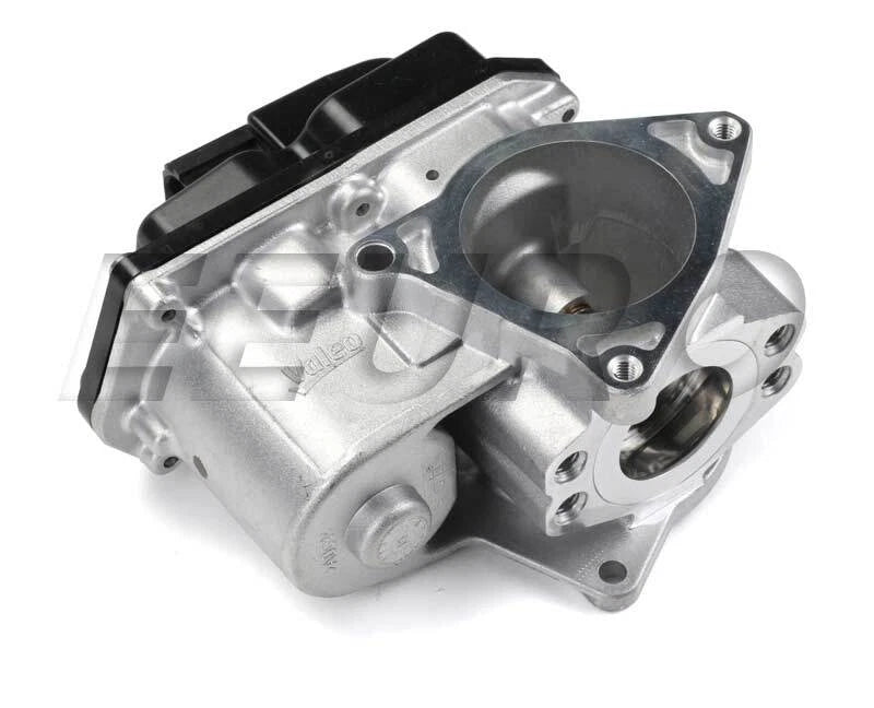 EGR Valve for Valeo 700424