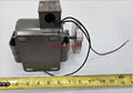 Dayton 1/20 HP 115 Motor with Pulley for Model 5K008 (Vintage)