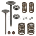 Valve Spring Kit for Honda TRX300FW FourTrax 300 (1988–2000)