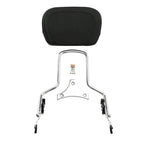 Detachable Upright Backrest Sissy Bar for Harley Touring (2009-2025)