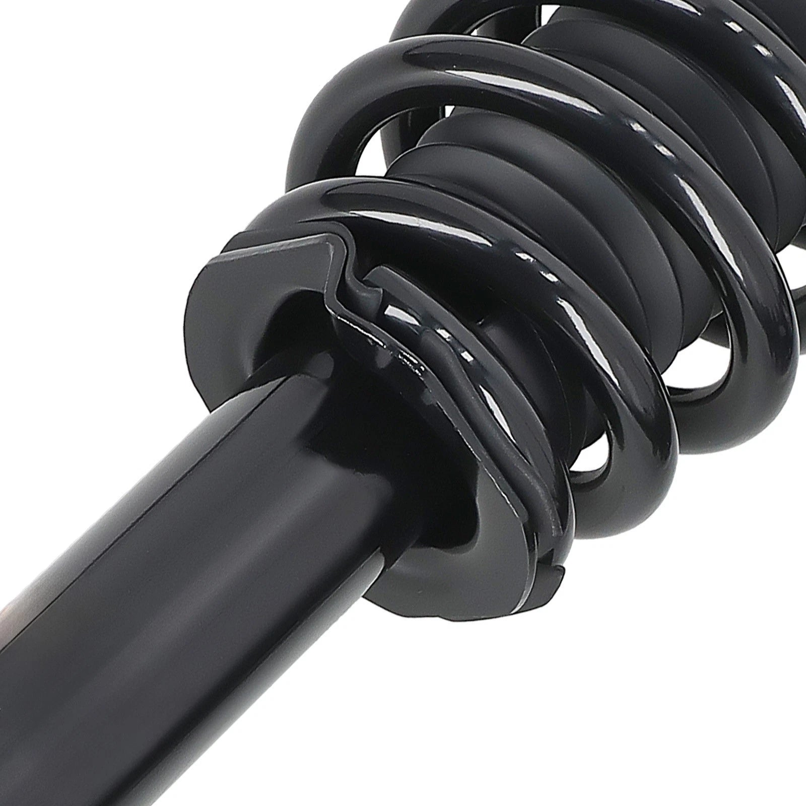 2X Front Struts w/Coil Spring Assembly for Acura TSX (2004–2008)
