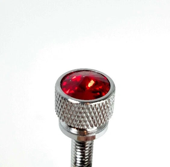 Dash Panel Long Screws Set of 12 for Kenworth KW (2001–Earlier) Red Jewel Chrome
