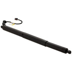 Liftgate Lift Supports for Audi Q5