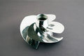 WSM Impeller for Sea-Doo 1503 4-Tec (2009–2017) - 021-220-15/21A