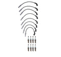 Denso Wire Set & 8 Iridium Spark Plugs Kit for Dodge 4.7 V8 (2002–2008)