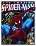 Vintage Spider-Man Comic Metal Sign 1260