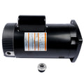 2.5HP Pool Pump Motor for Square Flange (230V, 60Hz)