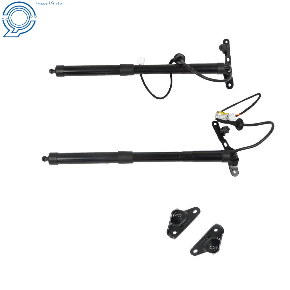 Set of 2 Tailgate Lift Support Struts for Toyota RAV4 (2013–2016)