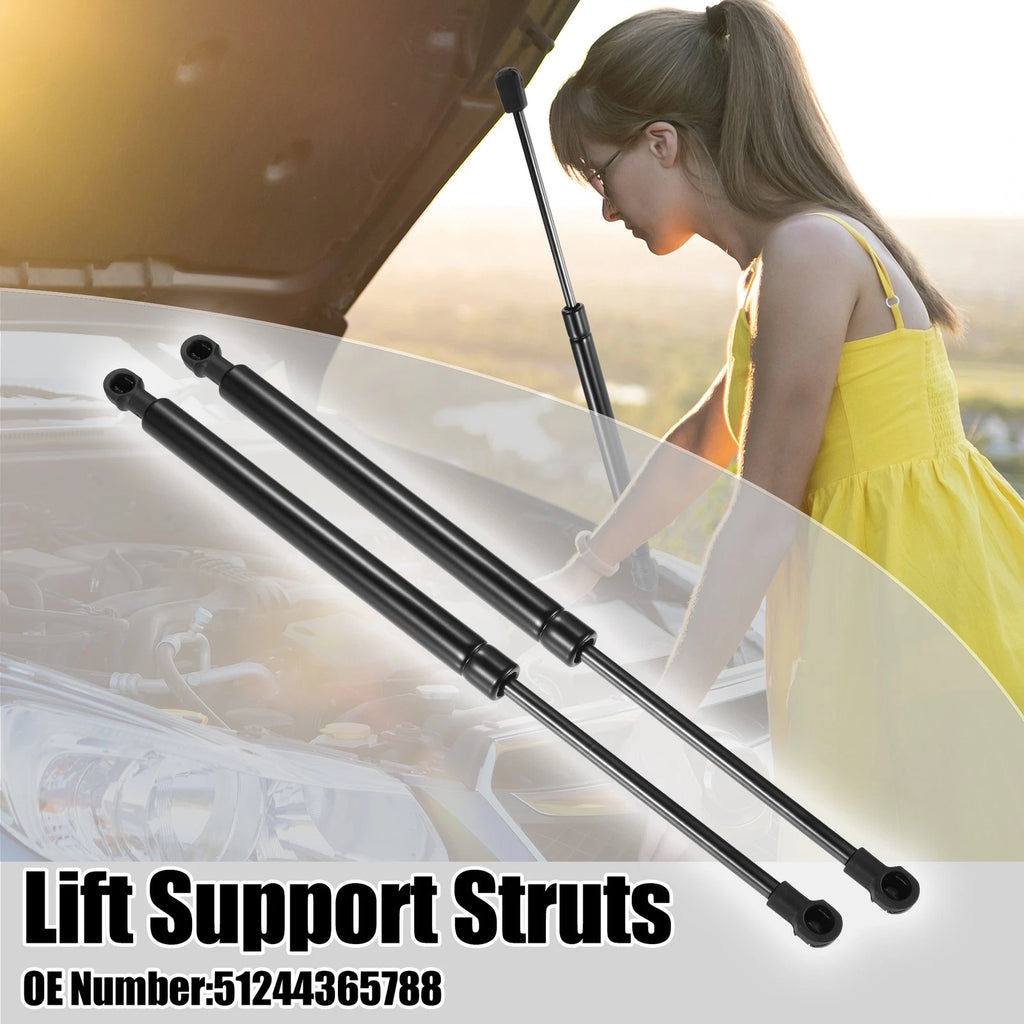 2pcs Rear Tailgate Lift Support Gas Struts for BMW 325i (2006)