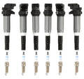 Set of 6 Ignition Coils with Spark Plugs for BMW (OEM)
