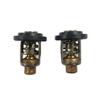 Set of 2 Thermostats for Johnson Evinrude 85-140 V4 (340, 975, 976)
