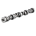 Camshaft .552" Lift for Chevy LS LS1 Corvette Camaro (1997–2006) E1841P