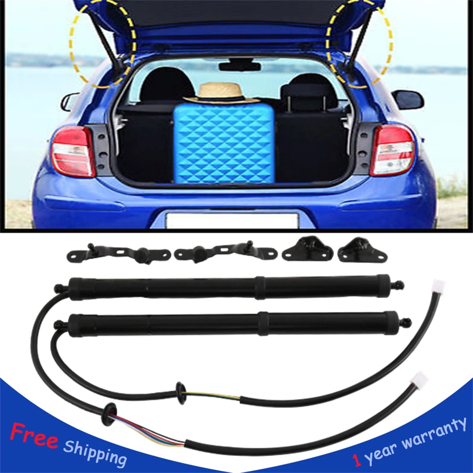 Set of 2 Rear Tailgate Lift Support Struts for Toyota RAV4 (2013–2018)