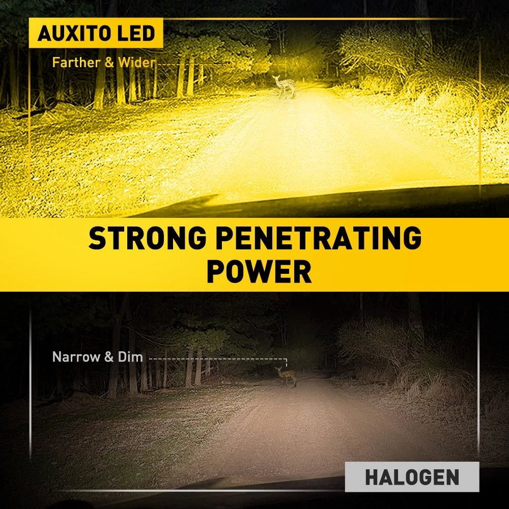 H3 LED Fog Light Bulb Conversion Kit for Mini (2000–2023) - Yellow 3000K