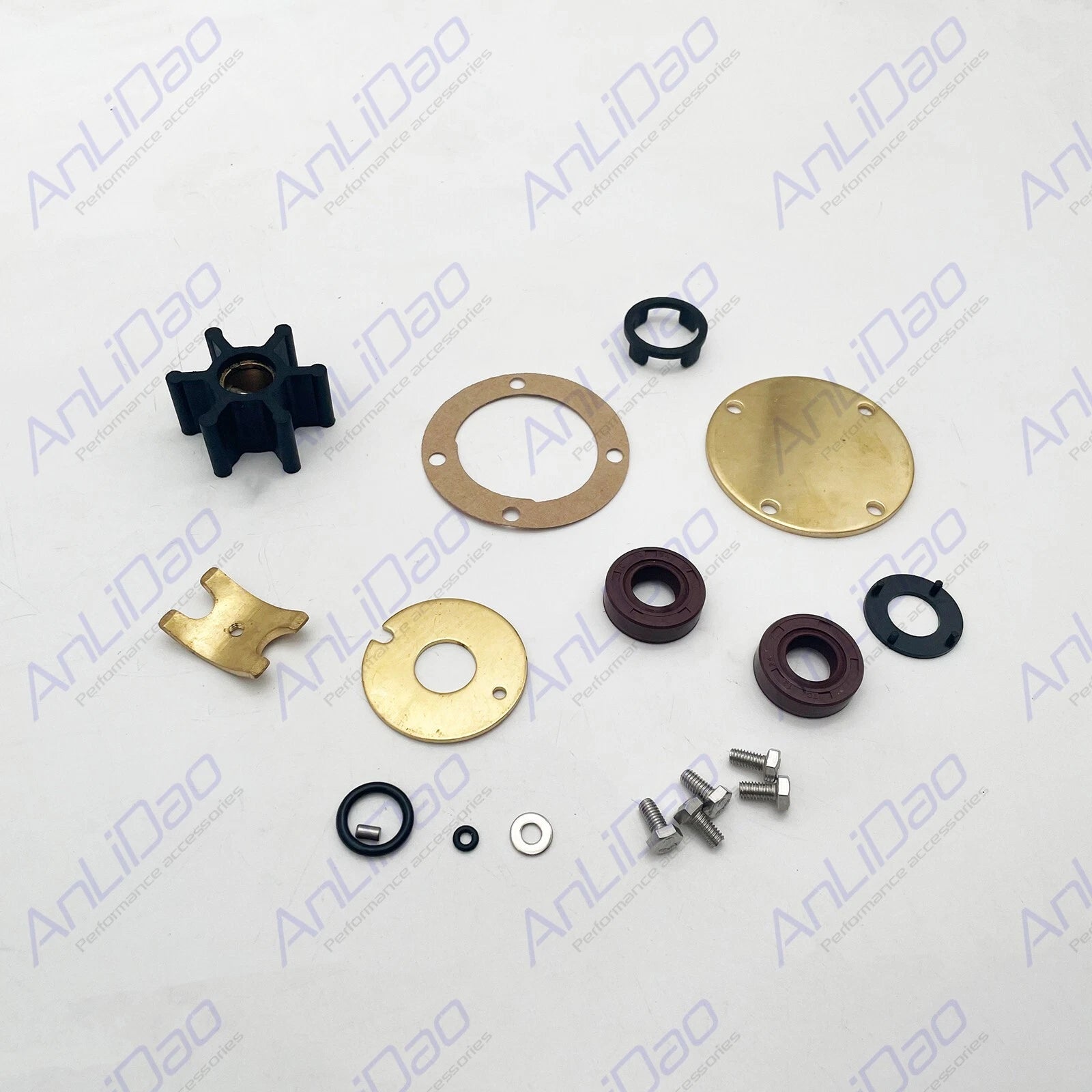 Internal Major Repair Kit for Volvo Penta Sea Water Pumps (21951368, 858065, 840557)