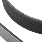 Serpentine Poly-V Belt 882K6MK for Continental Mileage Maker