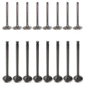 Set of 16 Intake & Exhaust Valves for Capri Miata MX-3 (1991–1998)