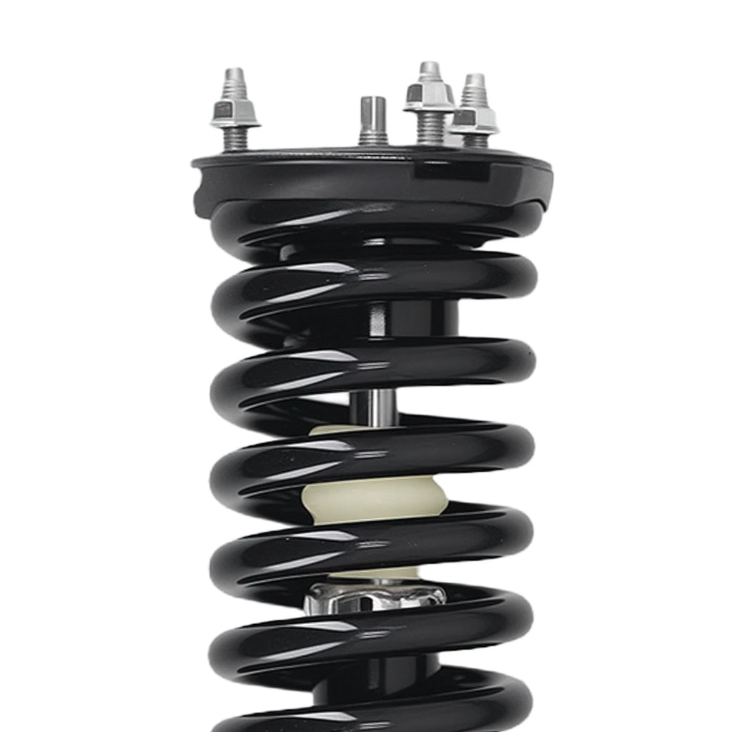 Complete Shocks Struts Coil Spring for Dodge Dakota (2005-2009) 2WD