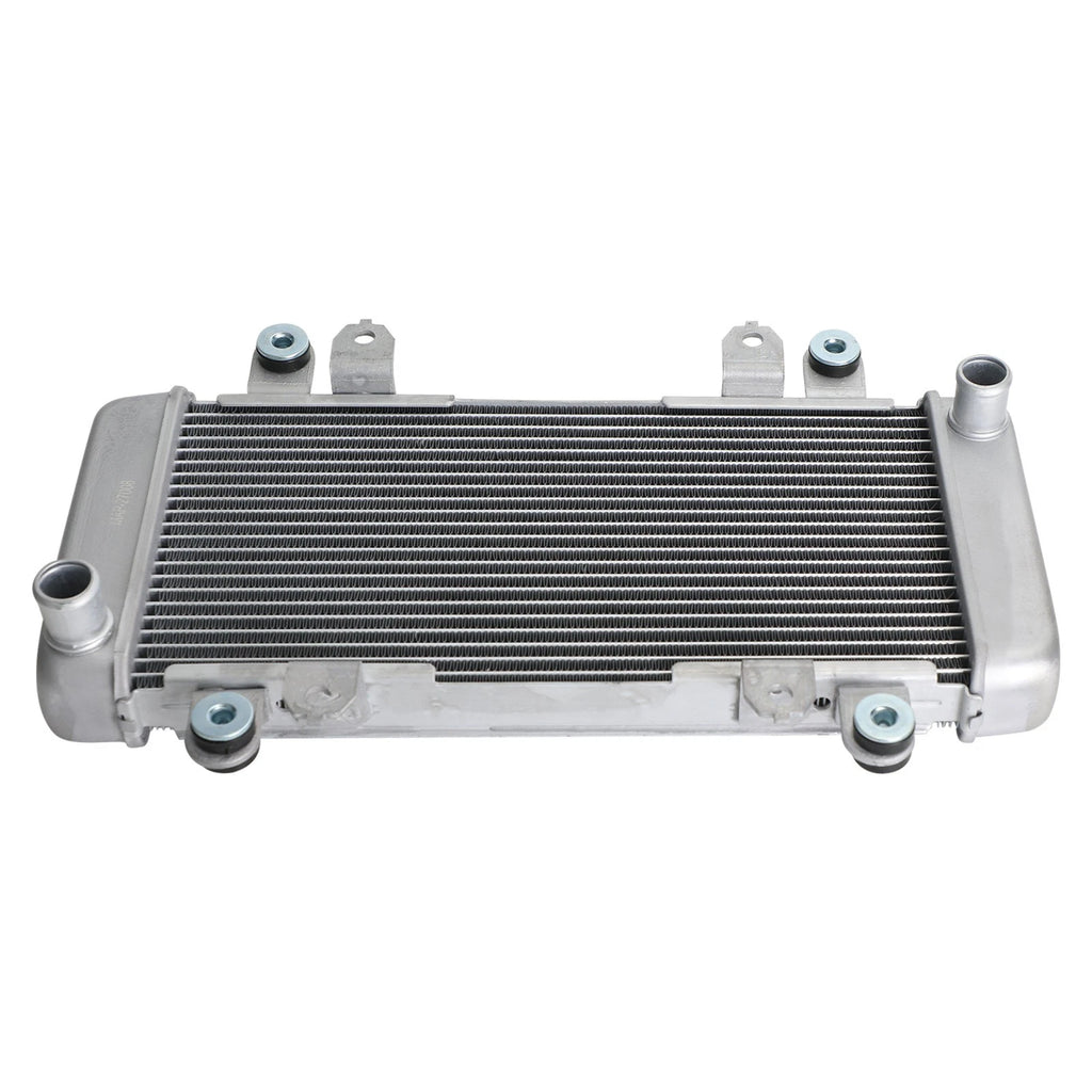 Radiator Guard for Kawasaki Ninja 300 EX300 (2013–2017)