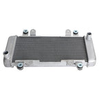 Radiator Guard for Kawasaki Ninja 300 EX300 (2013–2017)